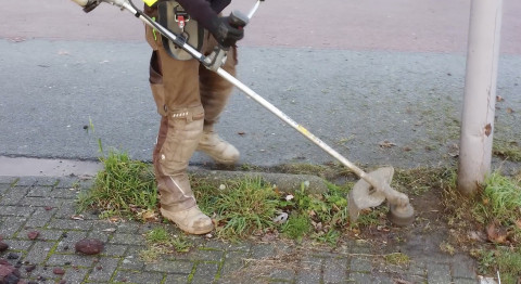 Bosmaaier 4